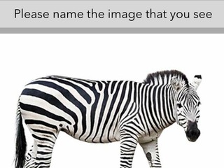 VatorNews