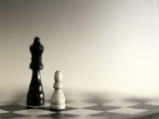 VatorNews